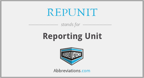 What does REPUNIT stand for?