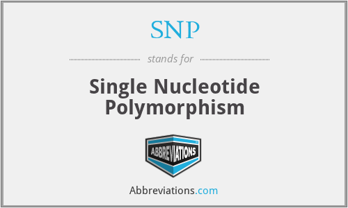 SNP - Single Nucleotide Polymorphism